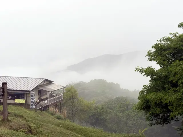 2025年05月17日 陣馬山-高尾山 + ムササビ観察会